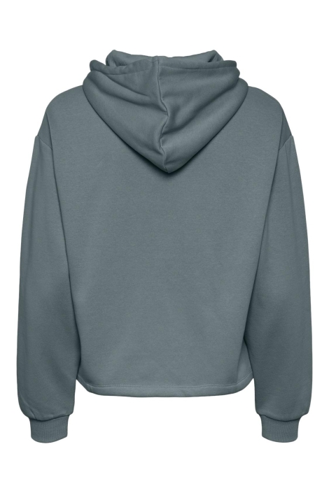 Pieces pcchilli ls hoodie noos bc